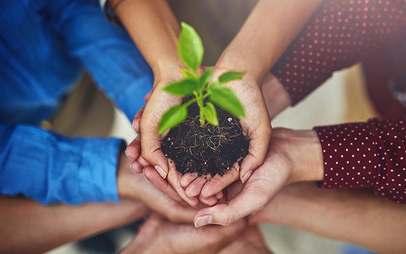 people's arms together in a circle holding a plant sprout in soil in their hands