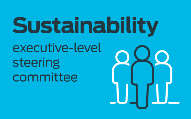 Sustainability executive-level steering committee