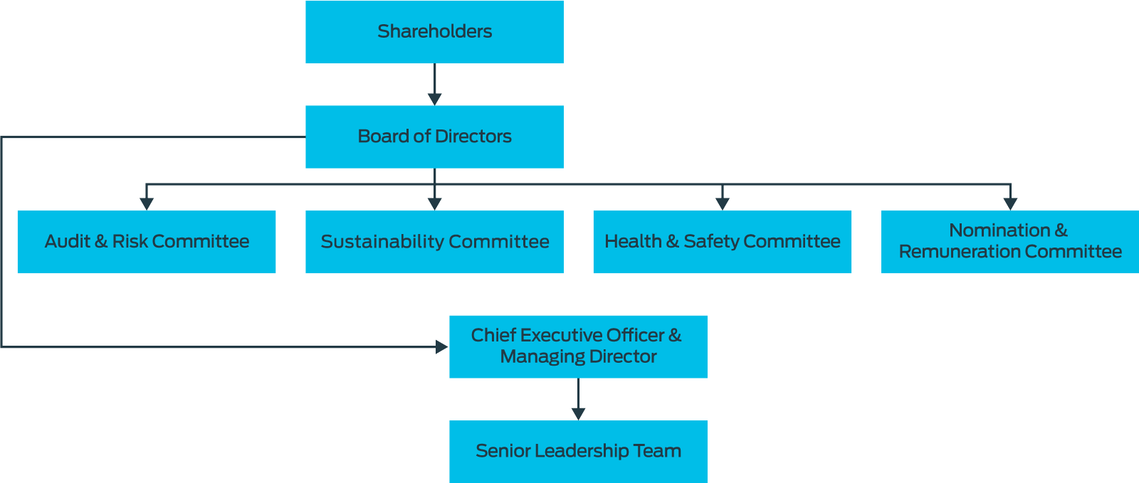 corp-government-structure-1600px.png