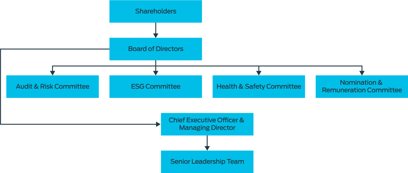 Corporate governance structure 2023